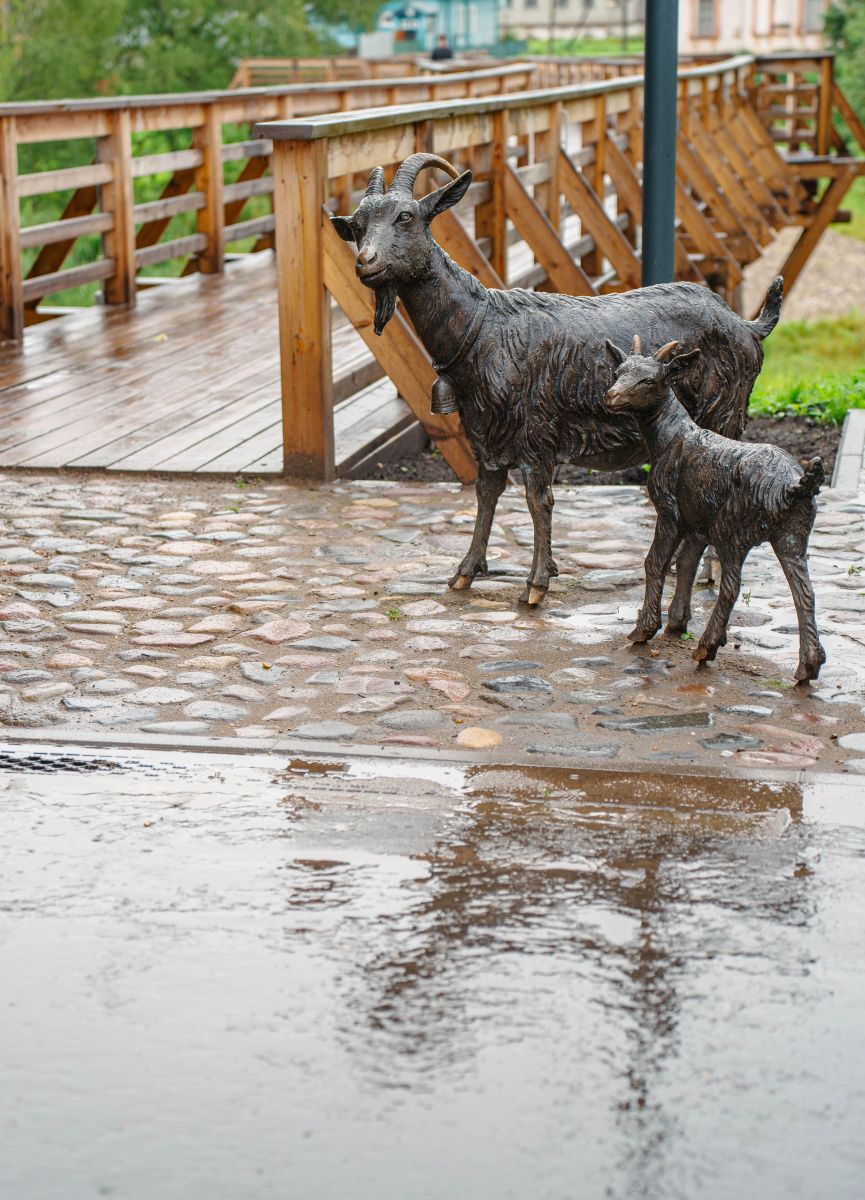 Козий мостик